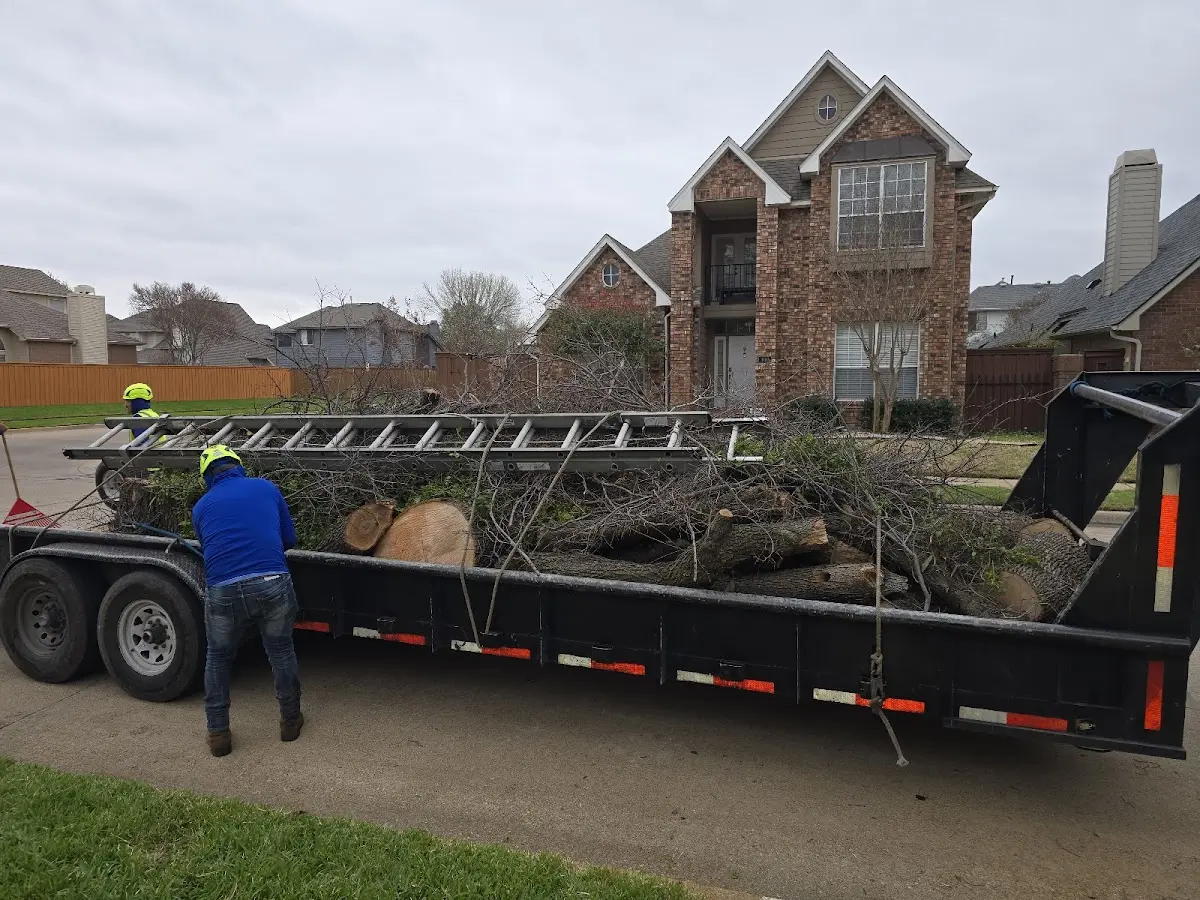 Expert Tree Fertilization with proper safety equipment in Seminole